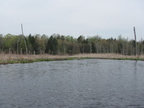 IMG 4598